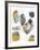 Inset II-Jennifer Goldberger-Framed Limited Edition