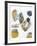 Inset II-Jennifer Goldberger-Framed Limited Edition