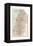 Inset Map of Palestine (Part of Turkey)-Encyclopaedia Britannica-Framed Premier Image Canvas