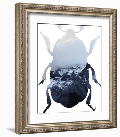 Insetto - Alpine-Irene Suchocki-Framed Giclee Print