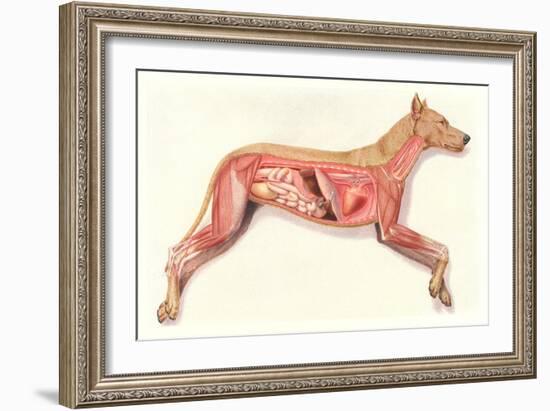 Inside a Dog-null-Framed Art Print