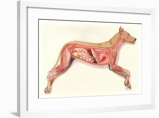 Inside a Dog-null-Framed Art Print