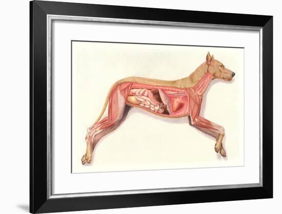 Inside a Dog-null-Framed Art Print