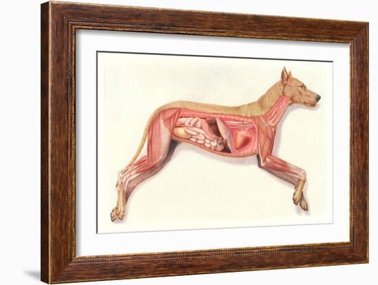 Inside a Dog-null-Framed Premium Giclee Print