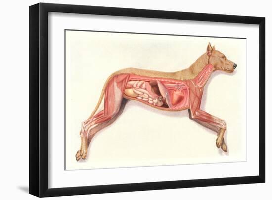 Inside a Dog-null-Framed Premium Giclee Print