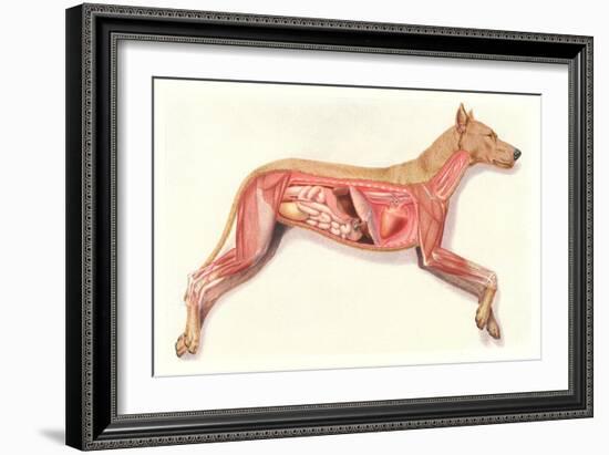 Inside a Dog-null-Framed Premium Giclee Print