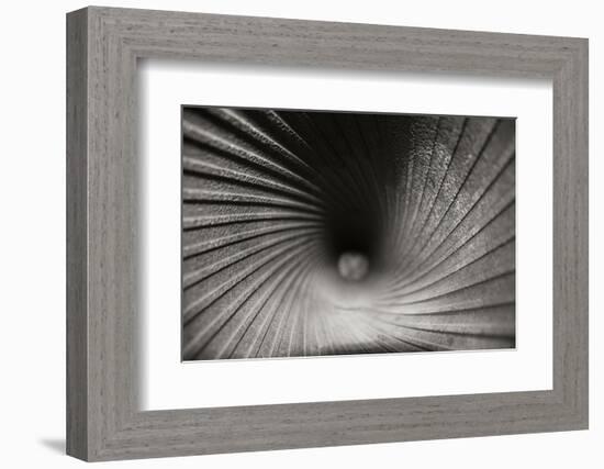 Inside a Howitzer-Tammy Putman-Framed Photographic Print