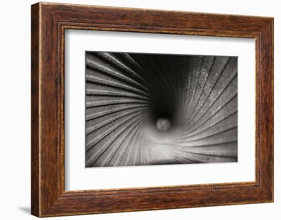 Inside a Howitzer-Tammy Putman-Framed Photographic Print