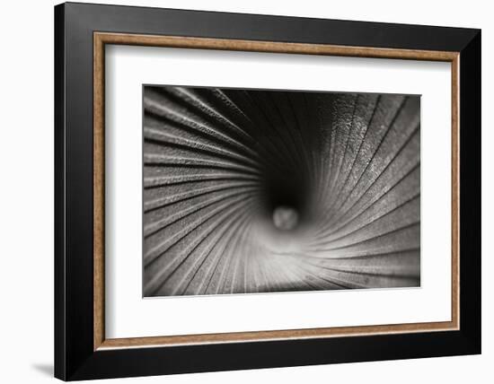 Inside a Howitzer-Tammy Putman-Framed Photographic Print