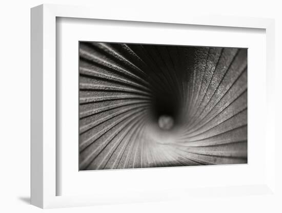 Inside a Howitzer-Tammy Putman-Framed Photographic Print