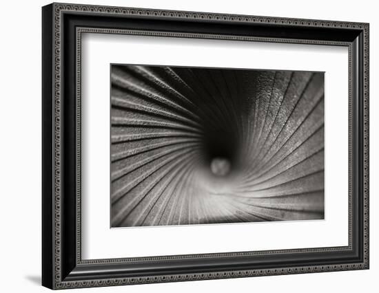 Inside a Howitzer-Tammy Putman-Framed Photographic Print