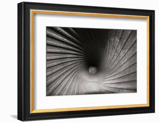 Inside a Howitzer-Tammy Putman-Framed Photographic Print