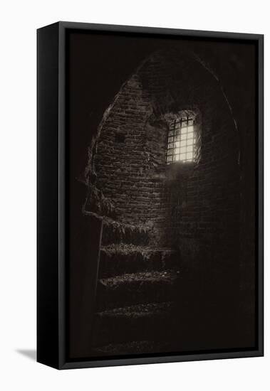 Inside an Old Tower-Tim Kahane-Framed Premier Image Canvas