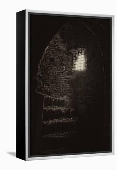 Inside an Old Tower-Tim Kahane-Framed Premier Image Canvas