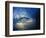 Inside Breaking Ocean Wave-David Pu'u-Framed Photographic Print