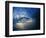 Inside Breaking Ocean Wave-David Pu'u-Framed Photographic Print