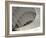 Inside Fuji Building-NaxArt-Framed Art Print