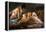 Inside of A Cave-Kayco-Framed Premier Image Canvas