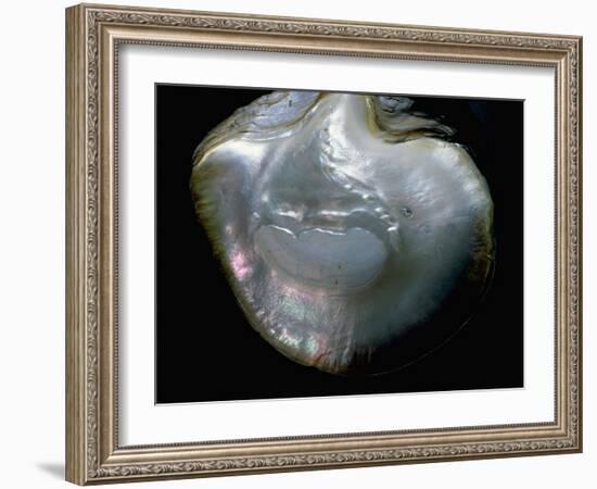 Inside of a pearl oyster-Werner Forman-Framed Giclee Print