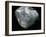 Inside of a pearl oyster-Werner Forman-Framed Giclee Print