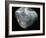 Inside of a pearl oyster-Werner Forman-Framed Giclee Print