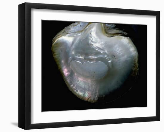 Inside of a pearl oyster-Werner Forman-Framed Giclee Print