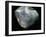 Inside of a pearl oyster-Werner Forman-Framed Giclee Print