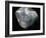 Inside of a pearl oyster-Werner Forman-Framed Giclee Print