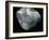 Inside of a pearl oyster-Werner Forman-Framed Giclee Print