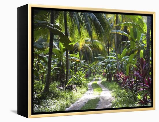 Inside of Parque Tayrona, Playa De Los Angeles and the Adjoining Rain Forest, Taganga, Colombia-Micah Wright-Framed Premier Image Canvas