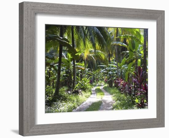 Inside of Parque Tayrona, Playa De Los Angeles and the Adjoining Rain Forest, Taganga, Colombia-Micah Wright-Framed Photographic Print