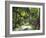 Inside of Parque Tayrona, Playa De Los Angeles and the Adjoining Rain Forest, Taganga, Colombia-Micah Wright-Framed Photographic Print