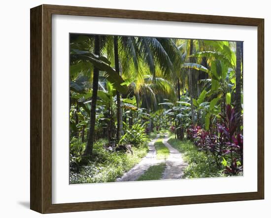 Inside of Parque Tayrona, Playa De Los Angeles and the Adjoining Rain Forest, Taganga, Colombia-Micah Wright-Framed Photographic Print