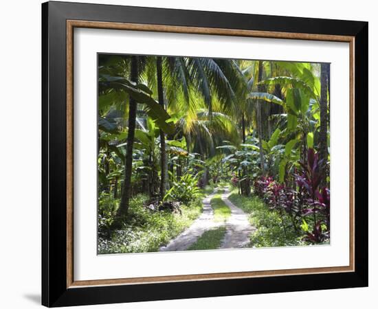 Inside of Parque Tayrona, Playa De Los Angeles and the Adjoining Rain Forest, Taganga, Colombia-Micah Wright-Framed Photographic Print