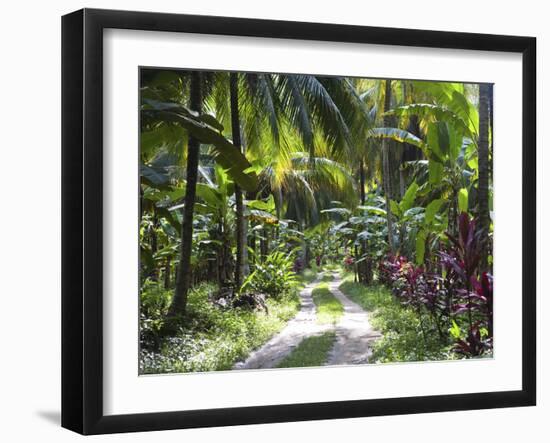 Inside of Parque Tayrona, Playa De Los Angeles and the Adjoining Rain Forest, Taganga, Colombia-Micah Wright-Framed Photographic Print