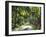 Inside of Parque Tayrona, Playa De Los Angeles and the Adjoining Rain Forest, Taganga, Colombia-Micah Wright-Framed Photographic Print