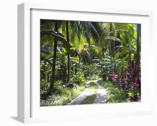 Inside of Parque Tayrona, Playa De Los Angeles and the Adjoining Rain Forest, Taganga, Colombia-Micah Wright-Framed Photographic Print