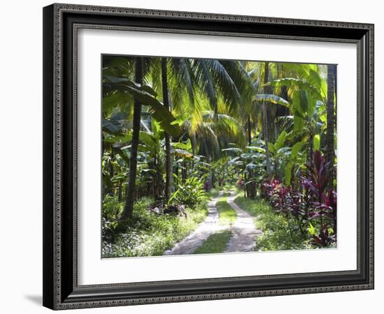 Inside of Parque Tayrona, Playa De Los Angeles and the Adjoining Rain Forest, Taganga, Colombia-Micah Wright-Framed Photographic Print