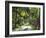 Inside of Parque Tayrona, Playa De Los Angeles and the Adjoining Rain Forest, Taganga, Colombia-Micah Wright-Framed Photographic Print