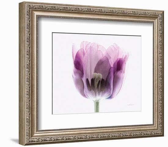 Inside Out II-Elizabeth Urquhart-Framed Photo