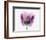 Inside Out II-Elizabeth Urquhart-Framed Photo