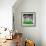 "Inside Pro Football," September 21, 1968-Paul Calle-Framed Giclee Print displayed on a wall