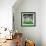 "Inside Pro Football," September 21, 1968-Paul Calle-Framed Giclee Print displayed on a wall