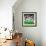 "Inside Pro Football," September 21, 1968-Paul Calle-Framed Giclee Print displayed on a wall