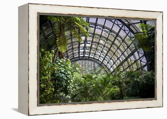 Inside the Botanical Building in Balboa Park in San Diego, California.  inside are over 350 Species-pdb1-Framed Premier Image Canvas