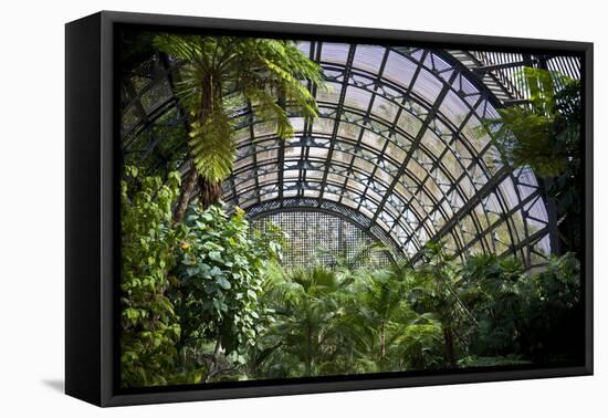 Inside the Botanical Building in Balboa Park in San Diego, California.  inside are over 350 Species-pdb1-Framed Premier Image Canvas