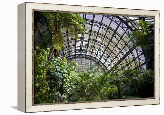 Inside the Botanical Building in Balboa Park in San Diego, California.  inside are over 350 Species-pdb1-Framed Premier Image Canvas