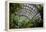 Inside the Botanical Building in Balboa Park in San Diego, California.  inside are over 350 Species-pdb1-Framed Premier Image Canvas