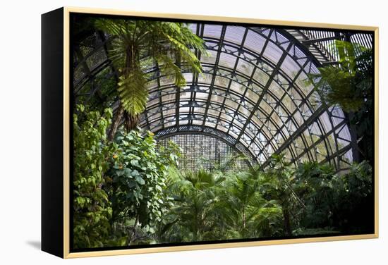 Inside the Botanical Building in Balboa Park in San Diego, California.  inside are over 350 Species-pdb1-Framed Premier Image Canvas