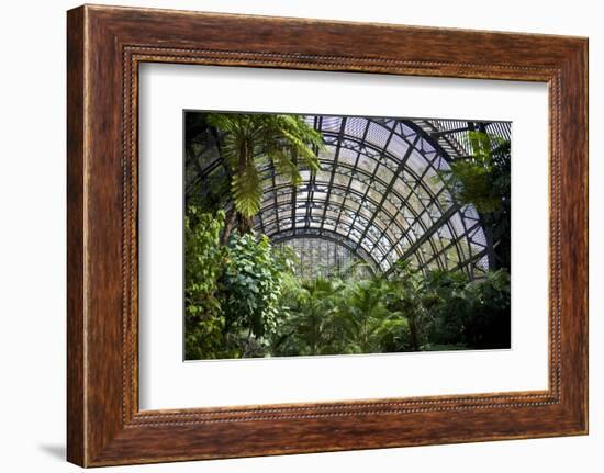 Inside the Botanical Building in Balboa Park in San Diego, California.  inside are over 350 Species-pdb1-Framed Photographic Print